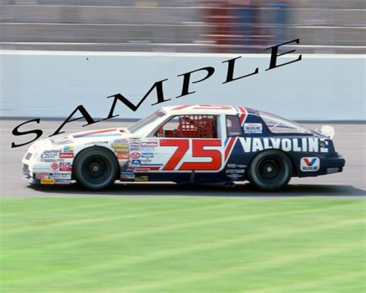 Neil Bonnett Net Worth