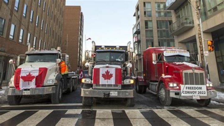 News: Who Is Seb Mckinnon MTG? Artists Encourages Anti-Vax Controversy As Trucker Freedom Convoy Escalates