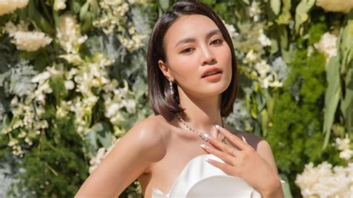 Ninh Duong Lan Ngoc Net Worth