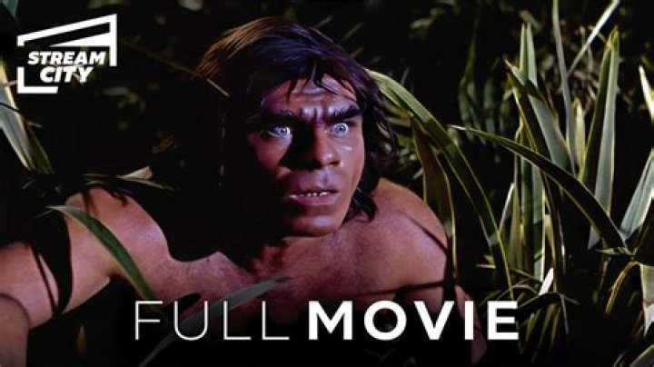 Paul Lukather Net Worth