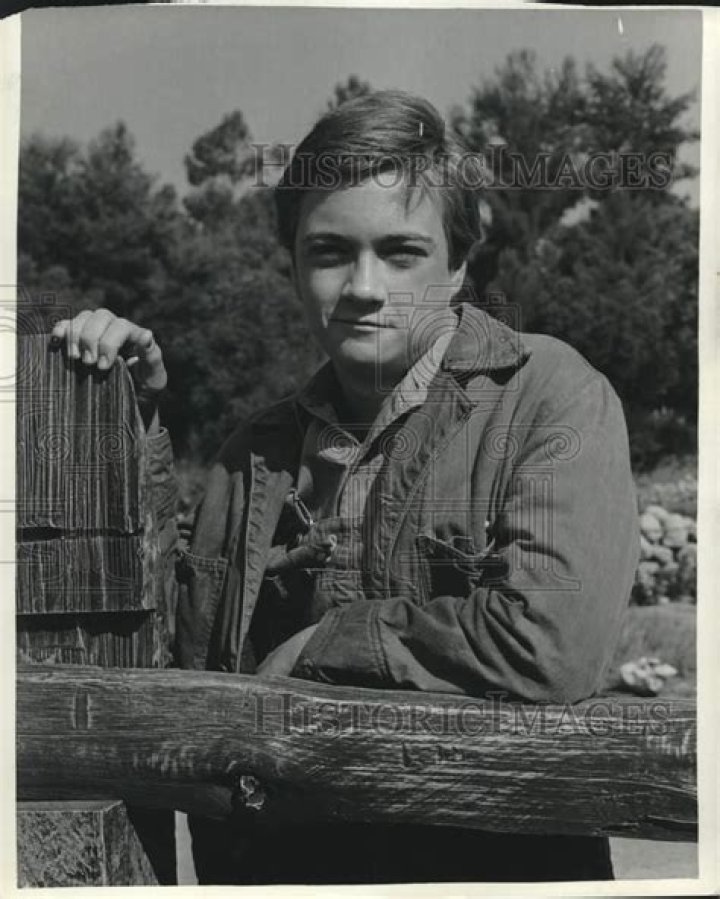 Phillip Alford - Bio, Age, siblings, Wiki, Facts and Family