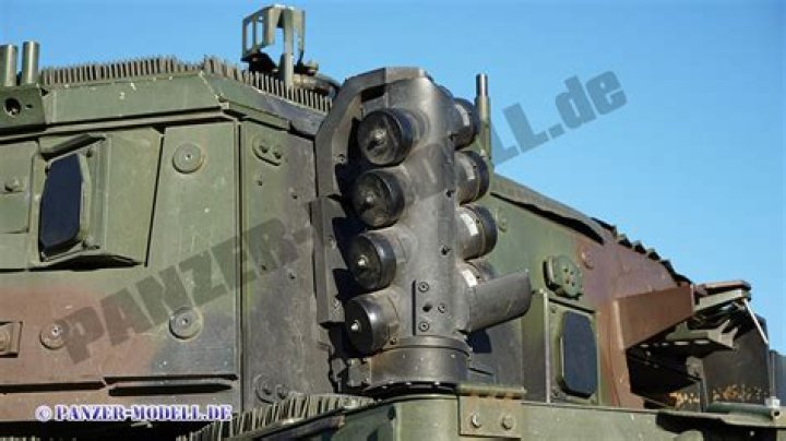 Puma - Bio, Age, Wiki, Facts and Family