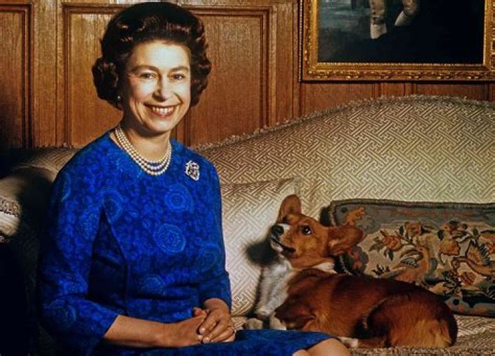 
Queen Elizabeth’s Corgis To Live With Prince Andrew And Ex-Wife Sarah Ferguson 