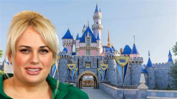 
Rebel Wilson Confesses Disneyland Banned Her For A Bathroom Selfie 