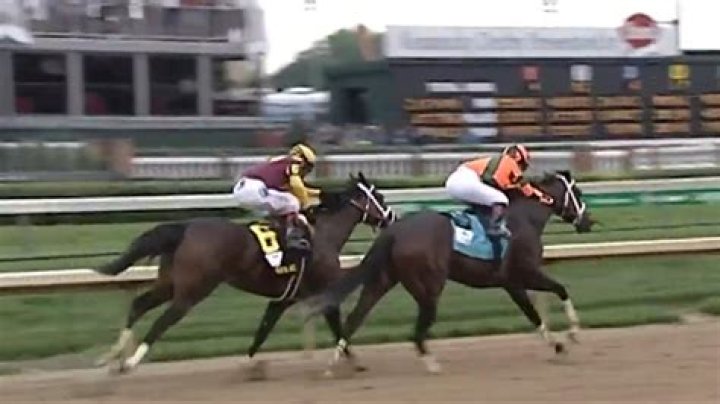 Rosie Napravnik - Bio, Age, Wiki, Facts and Family