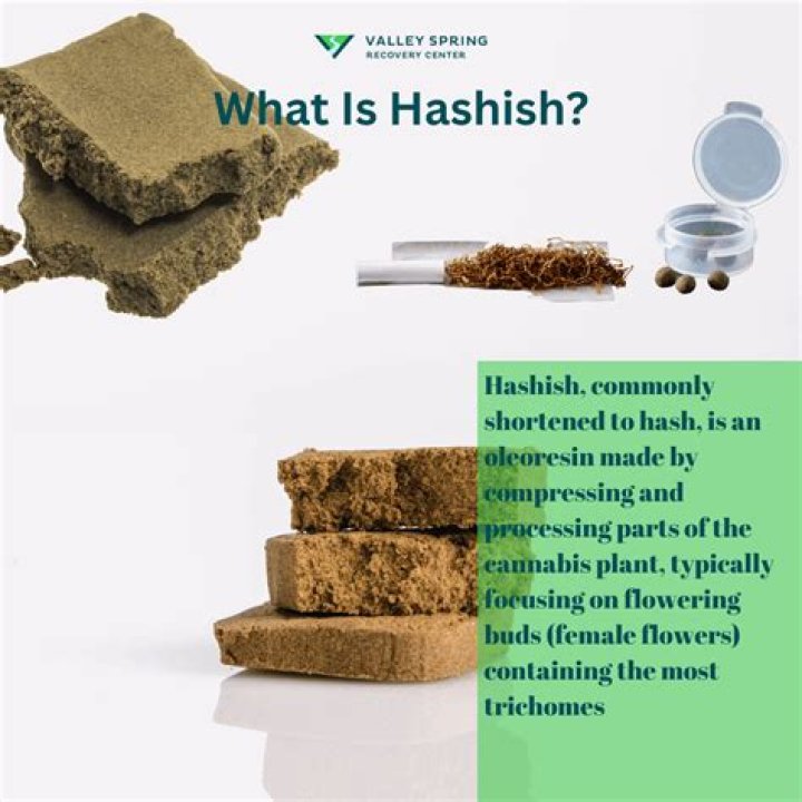 
Russian held for possessing hashish oil worth 9 lakhs in Goa 