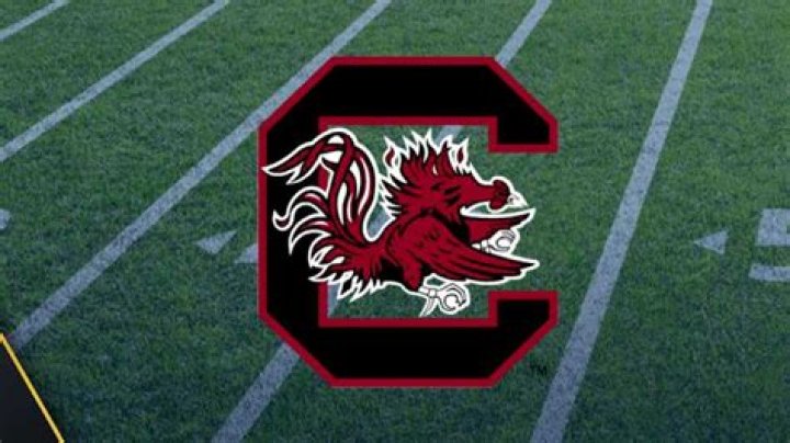 2024 South Carolina Gamecocks Football Roster