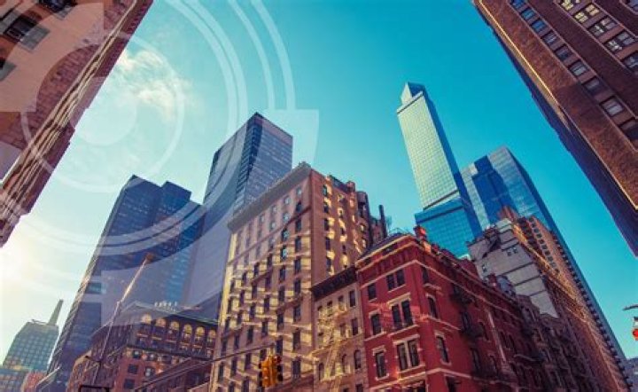 Steve Dapper Net Worth