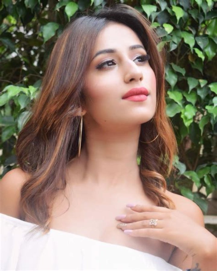 Subir Banerjee Net Worth