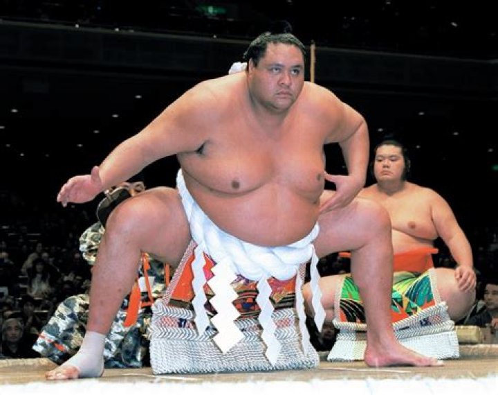 Sumo Height, Weight, Net Worth, Age, Birthday, Wikipedia, Who, Nationality, Biography