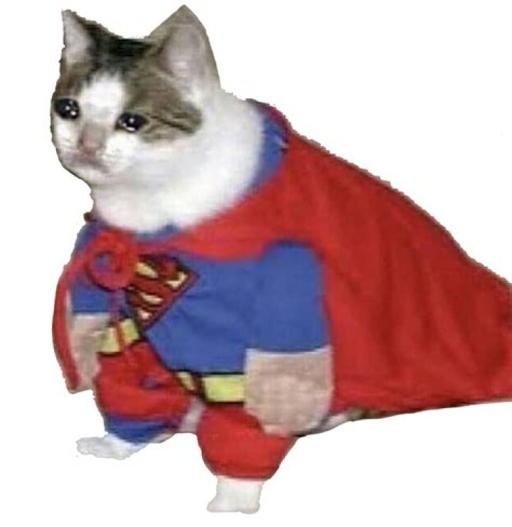 Super Cat