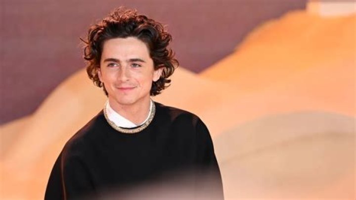 Timothée Chalamet Biography, Age, Education, Movies, Height, Girlfriend, Wife, Net Worth, Parents, Image, Awards And Instagram