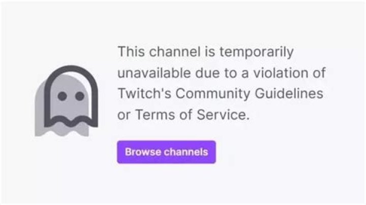 Vaush Was Banned From Twitch, Is He Actually Racist? Slurs Drama