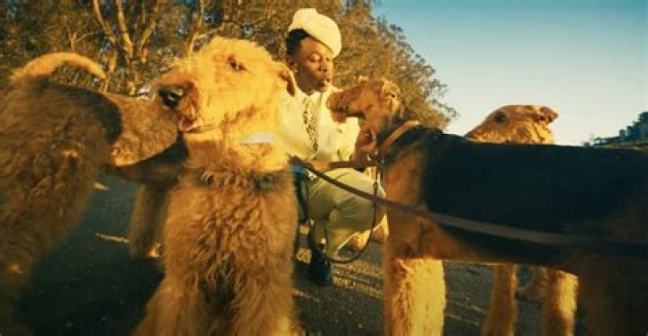 What dog does Martin Kemp have?