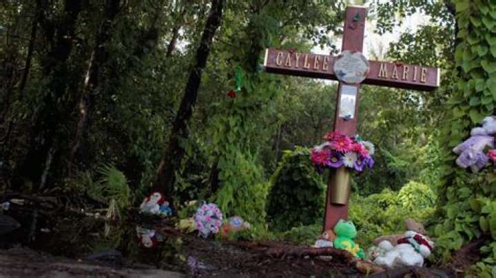 
What Happened To Caylee Anthony? 