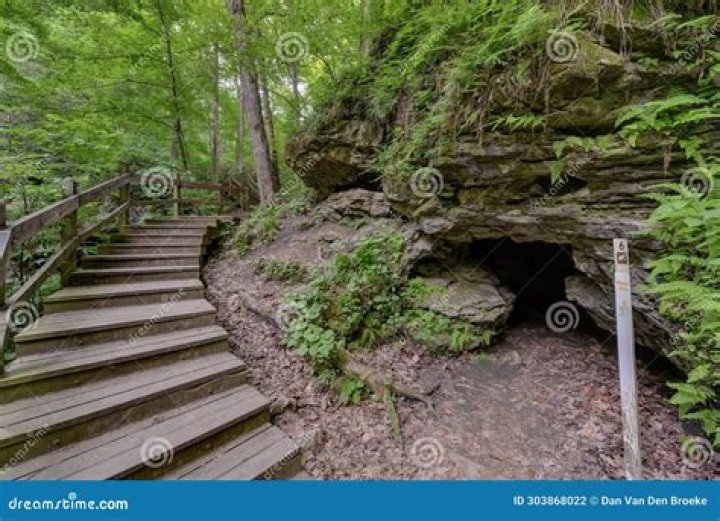 Who Is Anthony Orlando Sherwin, 23, From Nebraska? Tyler Schmidt Family Shot In Maquoketa Caves