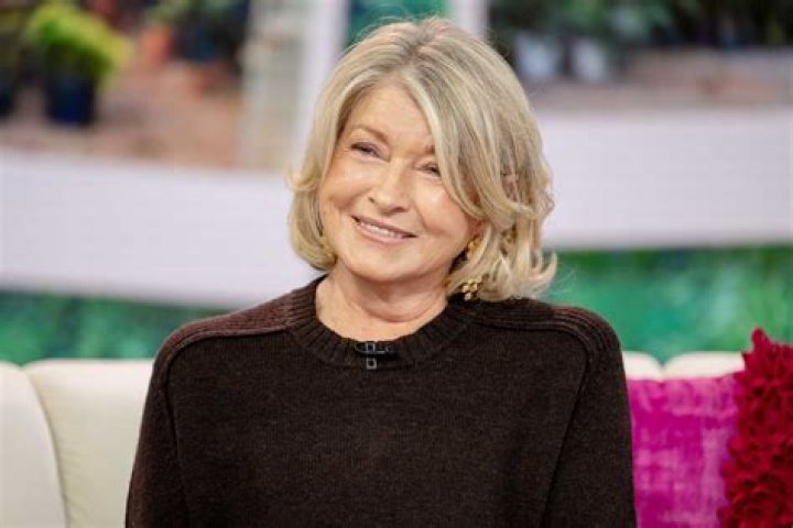 Who is Stewart Copeland? See Net-worth, Quote, Awards, Fact, Wiki