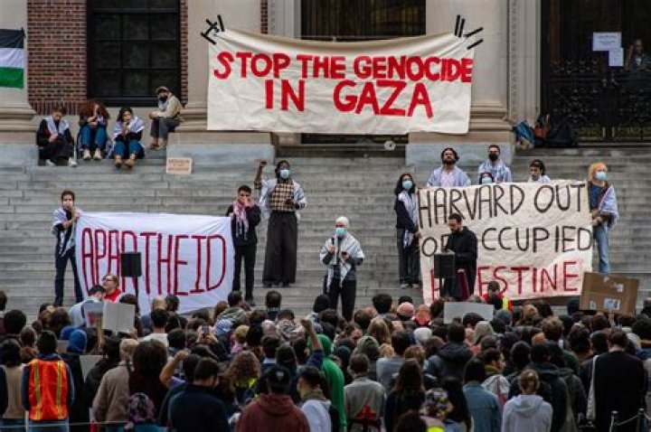 Who is Zareena Grewal? Yale professor supports Hamas on Twitter