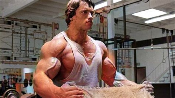 Who Was Bodybuilder Steve Michalik? Wiki And Family Details